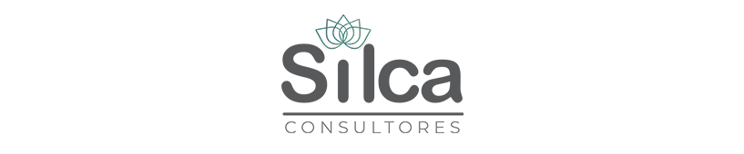 Soporte Silca Consultores